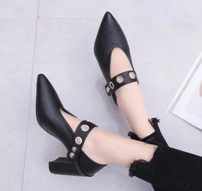 Spring Pointed Toe Block Heel Mary Jane Shoes for Women