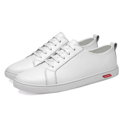 Men's White Sneakers and Casual Shoes