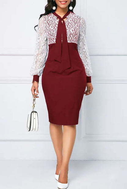 Elegant Lace Office Dress
