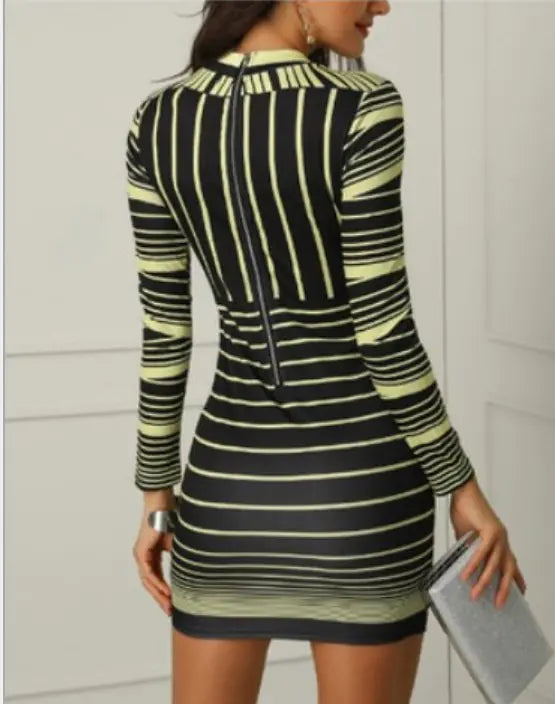 Striped Print Bodycon Skirt