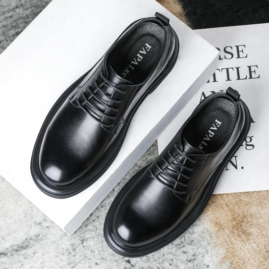 Men's Business Casual Leather Shoes in Brown and Black