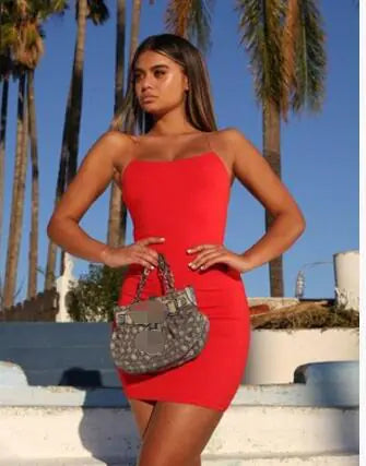 Backless Tie Dress, Bodycon Spaghetti Strap Dress