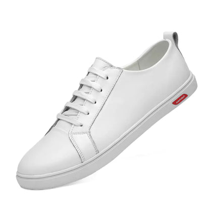 Men's White Sneakers and Casual Shoes