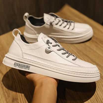 Men's Korean Casual Shoes