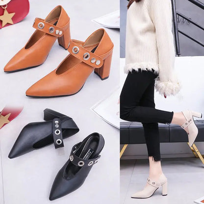Spring Pointed Toe Block Heel Mary Jane Shoes for Women