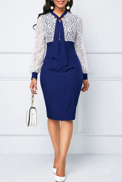 Elegant Lace Office Dress