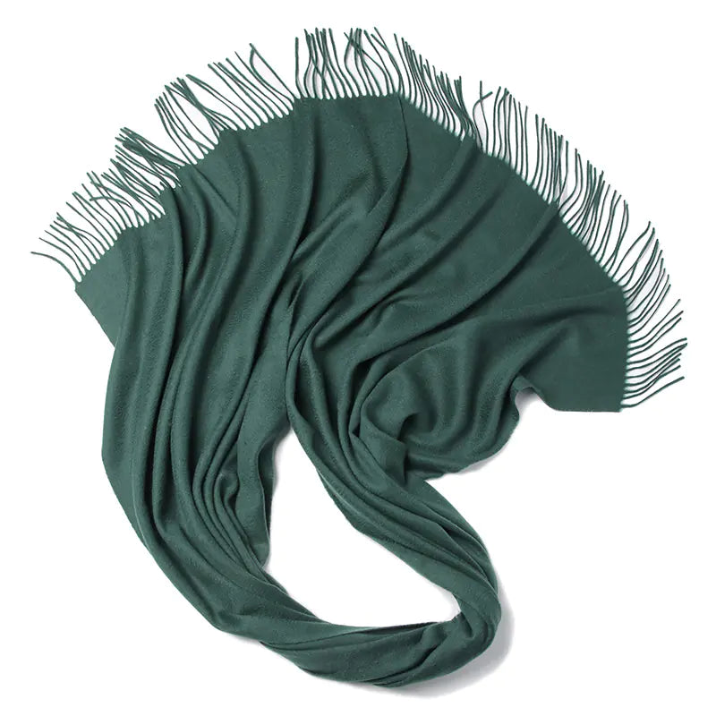 2020 New AC Brand Women's Wool Scarf - Winter Design