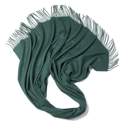 2020 New AC Brand Women's Wool Scarf - Winter Design