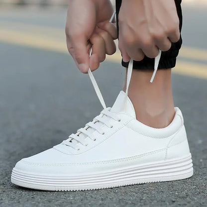 Trendy Sneakers and Casual Shoes
