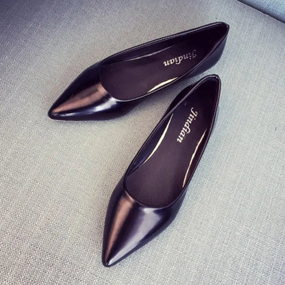 Pointed Toe and Flat Work Shoes for Women in Black/Nude